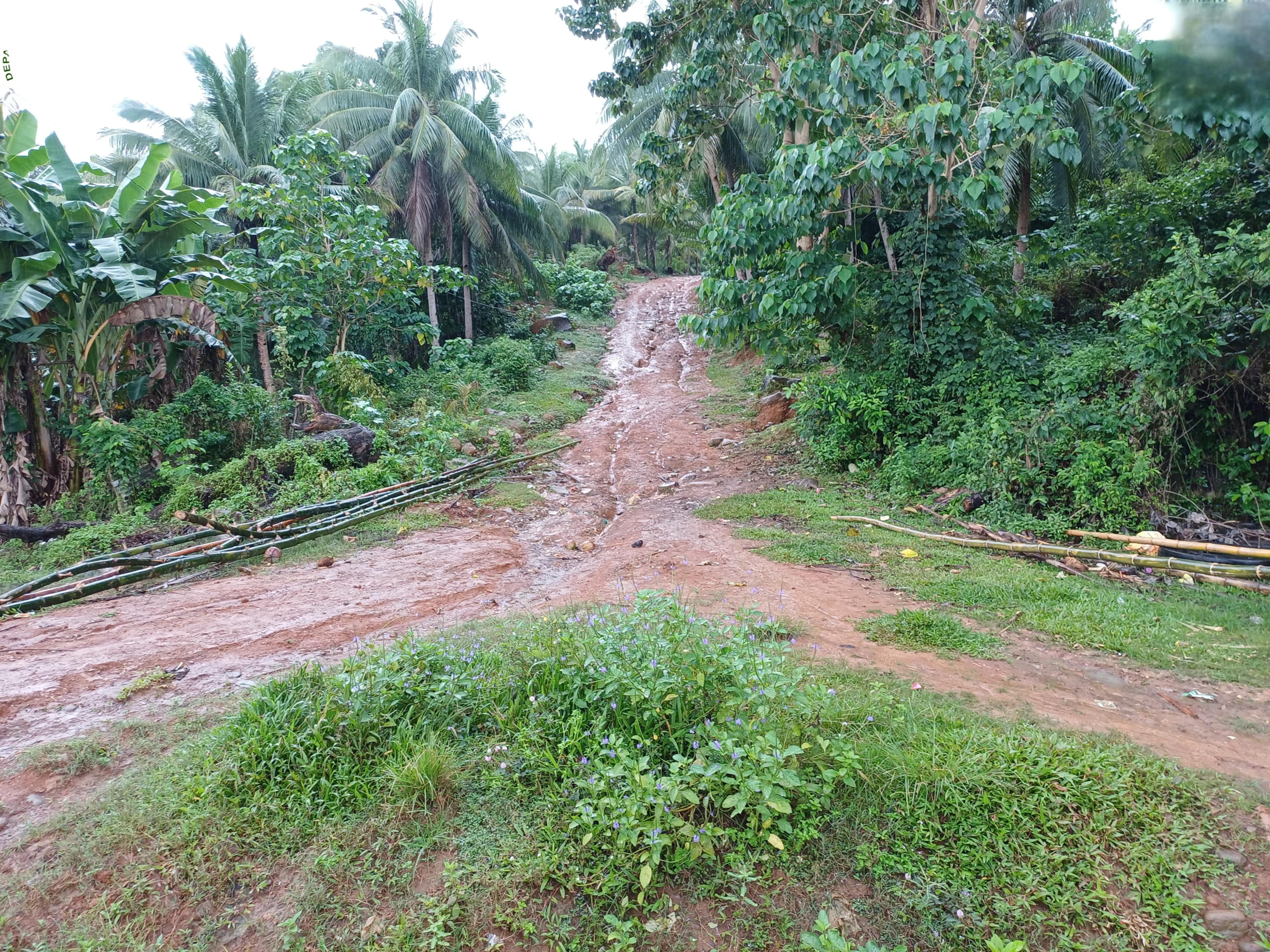 Before construction: Muddy, difficult road